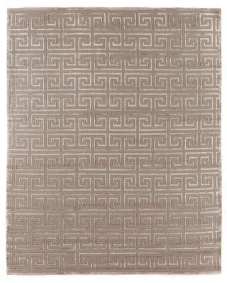 Exquisite Rugs Metro Velvet 5049 Beige Area Rug by The Met main image