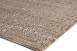 Exquisite Rugs Metro Velvet 5049 Beige Area Rug by The Met Corner Image