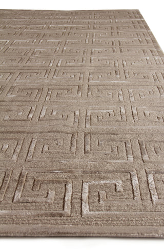 Exquisite Rugs Metro Velvet 5049 Beige Area Rug by The Met Closeup Image