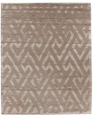 Exquisite Rugs Metro Velvet 5064 Light Beige Area Rug main image