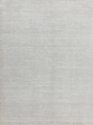 Exquisite Rugs Duo 5175 White/Beige Area Rug main image