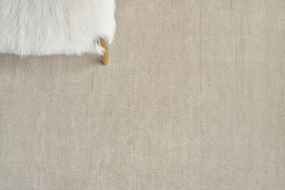 Exquisite Rugs Duo 5178 Beige Area Rug Detail Image