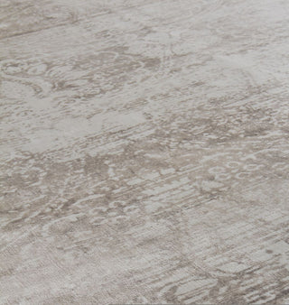 Exquisite Rugs Koda 5184 Beige Area Rug Closeup Image