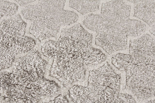 Exquisite Rugs Lux Look 5190 Beige Area Rug Detail Image