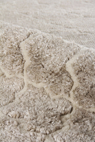 Exquisite Rugs Lux Look 5190 Beige Area Rug Lifestyle Image Feature