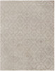 Exquisite Rugs Samara 5202 Beige Area Rug main image
