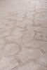 Exquisite Rugs Samara 5202 Beige Area Rug Closeup Image