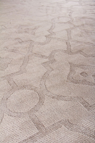 Exquisite Rugs Samara 5202 Beige Area Rug Closeup Image