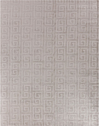 Exquisite Rugs Samara 5208 Light Silver Area Rug main image