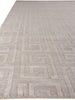 Exquisite Rugs Samara 5208 Light Silver Area Rug Closeup Image