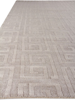 Exquisite Rugs Samara 5208 Light Silver Area Rug Closeup Image