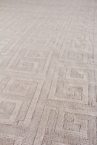 Exquisite Rugs Samara 5208 Light Silver Area Rug Lifestyle Image Feature