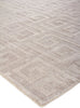 Exquisite Rugs Samara 5208 Light Silver Area Rug Detail Image