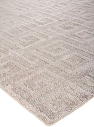 Exquisite Rugs Samara 5208 Light Silver Area Rug Detail Image