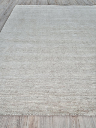 Exquisite Rugs Catalina 5212 Beige Area Rug Closeup Image