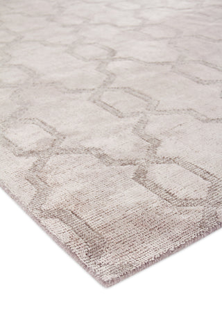 Exquisite Rugs Samara 5221 Beige Area Rug Corner Image