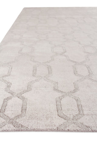 Exquisite Rugs Samara 5221 Beige Area Rug Closeup Image