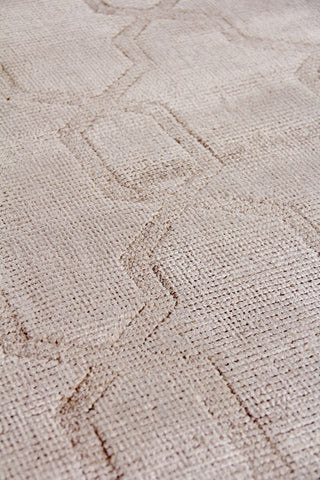 Exquisite Rugs Samara 5221 Beige Area Rug Pile Image