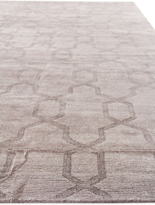 Exquisite Rugs Samara 5221 Beige Area Rug Lifestyle Image Feature