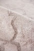 Exquisite Rugs Samara 5221 Beige Area Rug Detail Image