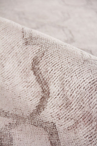 Exquisite Rugs Samara 5221 Beige Area Rug Detail Image