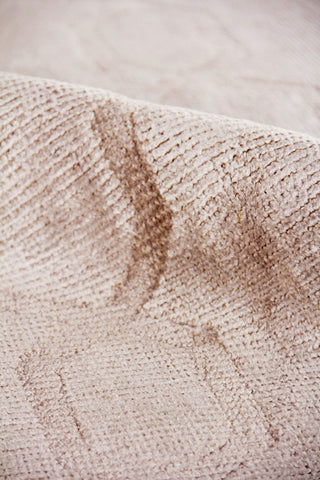 Exquisite Rugs Samara 5221 Beige Area Rug Lifestyle Image Feature