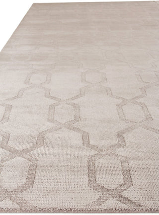 Exquisite Rugs Samara 5222 Light Silver Area Rug Detail Image