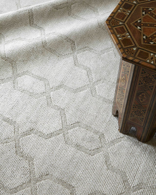 Exquisite Rugs Samara 5222 Light Silver Area Rug Lifestyle Image Feature