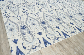 Exquisite Rugs Sarasota 5254 Ivory/Gray Area Rug Corner Image