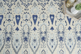 Exquisite Rugs Sarasota 5254 Ivory/Gray Area Rug Detail Image