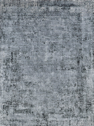 Exquisite Rugs Intrigue 5263 Gray Area Rug by The Met main image