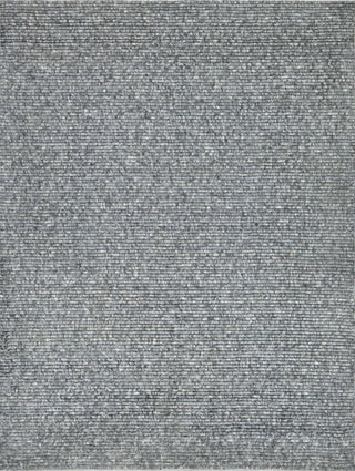 Exquisite Rugs Kaza 5301 Charcoal/Gray Area Rug main image