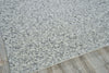 Exquisite Rugs Kaza 5302 Ivory/Silver Area Rug Corner Image