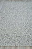 Exquisite Rugs Kaza 5302 Ivory/Silver Area Rug Closeup Image