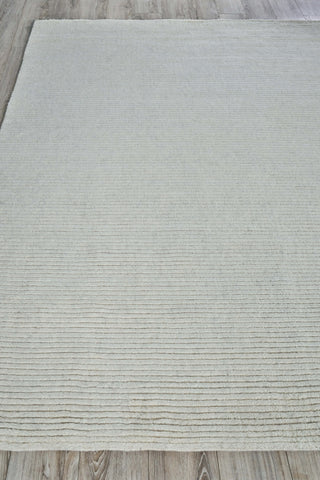 Exquisite Rugs Kaza 5304 Ivory Area Rug Closeup Image