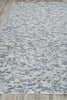Exquisite Rugs Kaza 5305 Ivory/Light Gray Area Rug Closeup Image