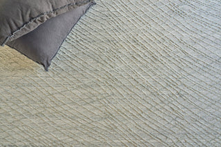 Exquisite Rugs Crescendo 5327 Beige Area Rug Detail Image