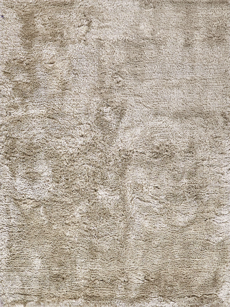 Exquisite Rugs Sumo Shag 5343 Beige Area Rug main image