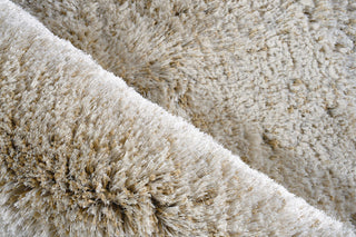 Exquisite Rugs Sumo Shag 5343 Beige Area Rug Pile Image