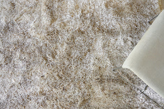 Exquisite Rugs Sumo Shag 5343 Beige Area Rug 