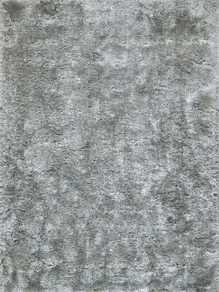 Exquisite Rugs Sumo Shag 5345 Gray Area Rug