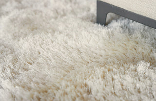 Exquisite Rugs Sumo Shag 5382 Ivory Area Rug Lifestyle Image Feature