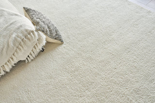 Exquisite Rugs Merino 5391 Ivory Area Rug Lifestyle Image Feature