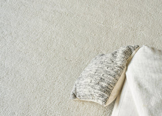 Exquisite Rugs Merino 5391 Ivory Area Rug Detail Image