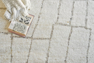 Exquisite Rugs Tahoe 5557 White/Beige Area Rug Detail Image