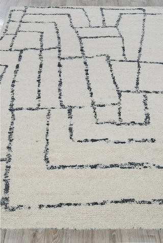 Exquisite Rugs Tahoe 5559 Ivory/Black Area Rug Closeup Image