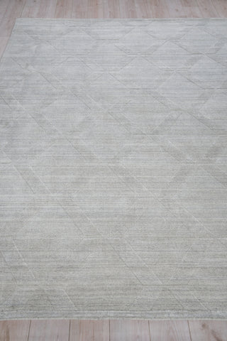 Exquisite Rugs Castelli 5630 Light Silver Area Rug Closeup Image