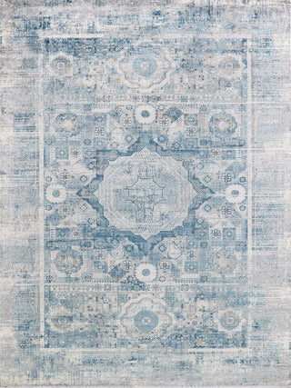 Exquisite Rugs Legacy 5663 Blue/Ivory Area Rug by The Met main image