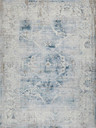 Exquisite Rugs Vintage Looms 5673 Light Blue/Beige Area Rug main image