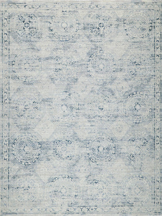 Exquisite Rugs Vintage Looms 5674 Light Blue/Blue Area Rug main image